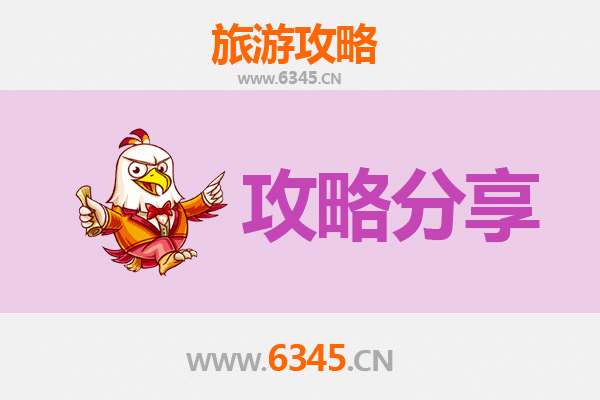 常德临澧至湄洲岛旅游攻略：跟团还是自由行深度解析
